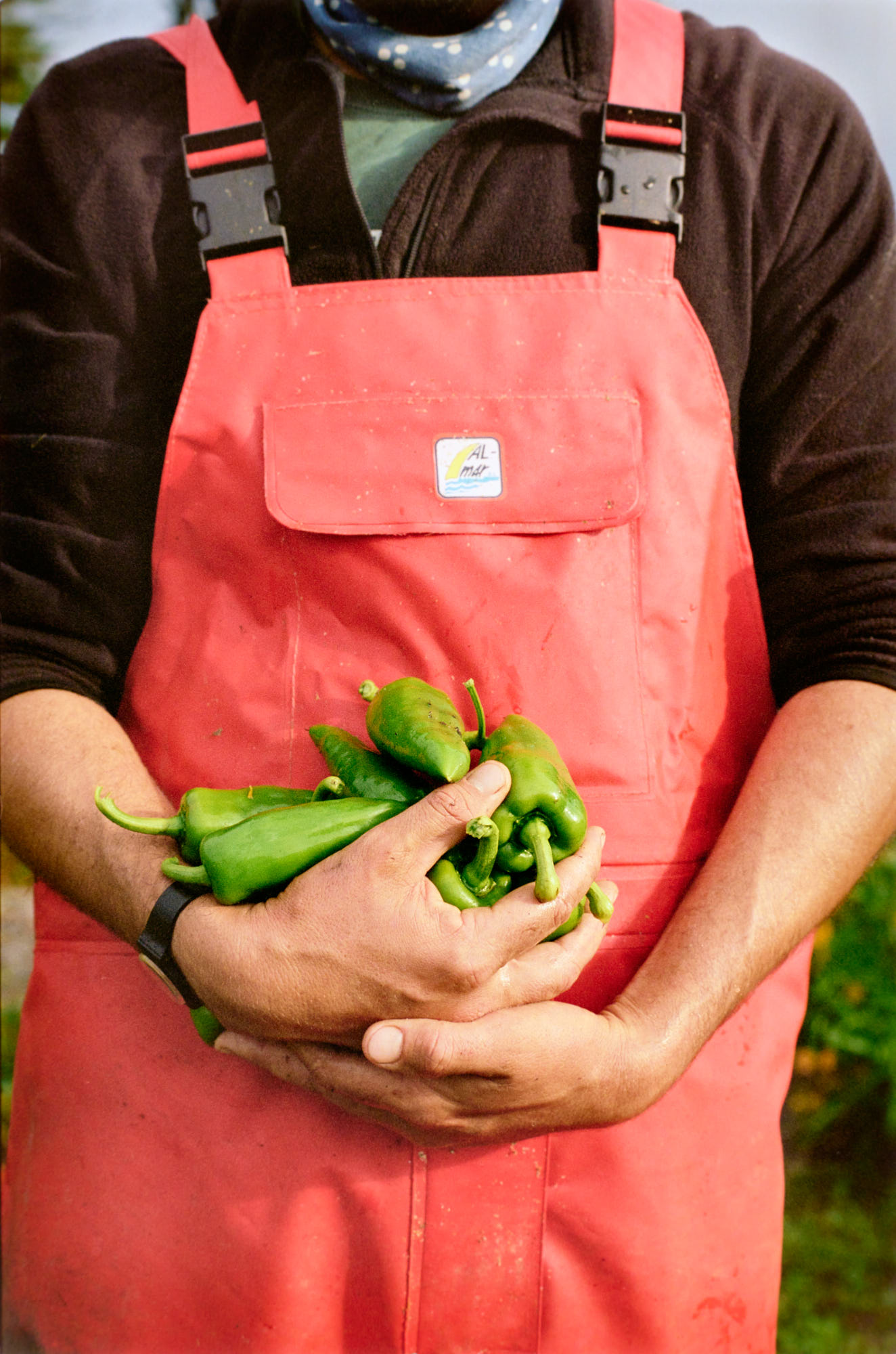 michael-condran-commercial-photographer-food-00016
