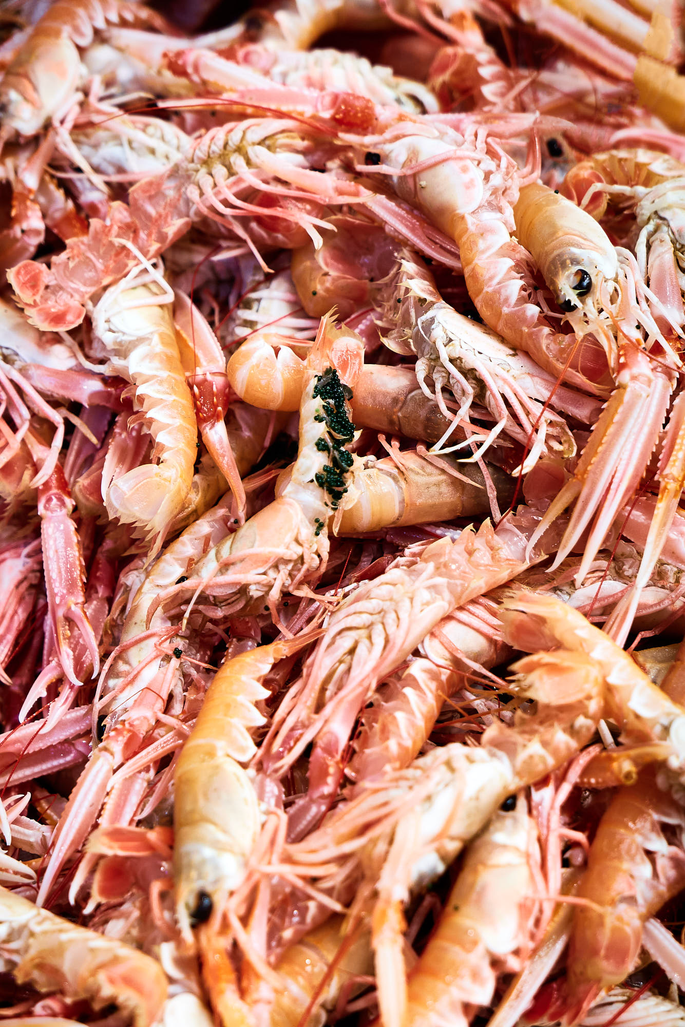 michael-condran-commercial-photographer-food-0015812
